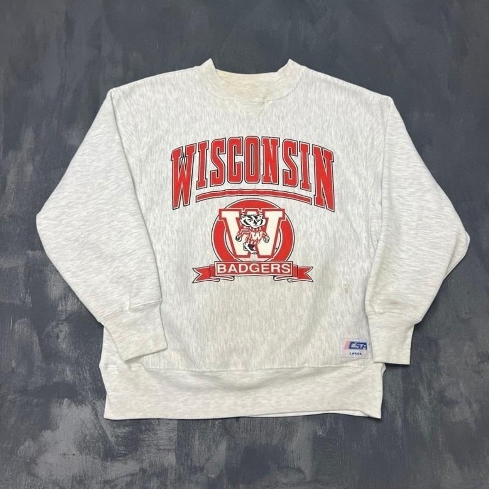 Vintage Wisconsin Badgers Sweatshirt Mens Large Gray 1990s NCAA
